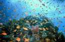 Hurghada025 * 600 x 391 * (104KB)