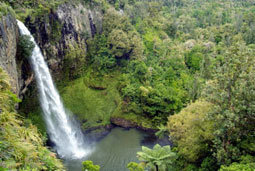 Bridal Falls - Brautschleier-Wasserflle, nahe Raglan