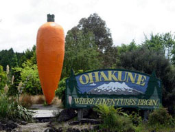 Ohakune - die Stadt der Mhre