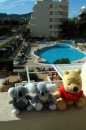 Pooh auf Mallorca * 2016 x 3024 * (1.33MB)